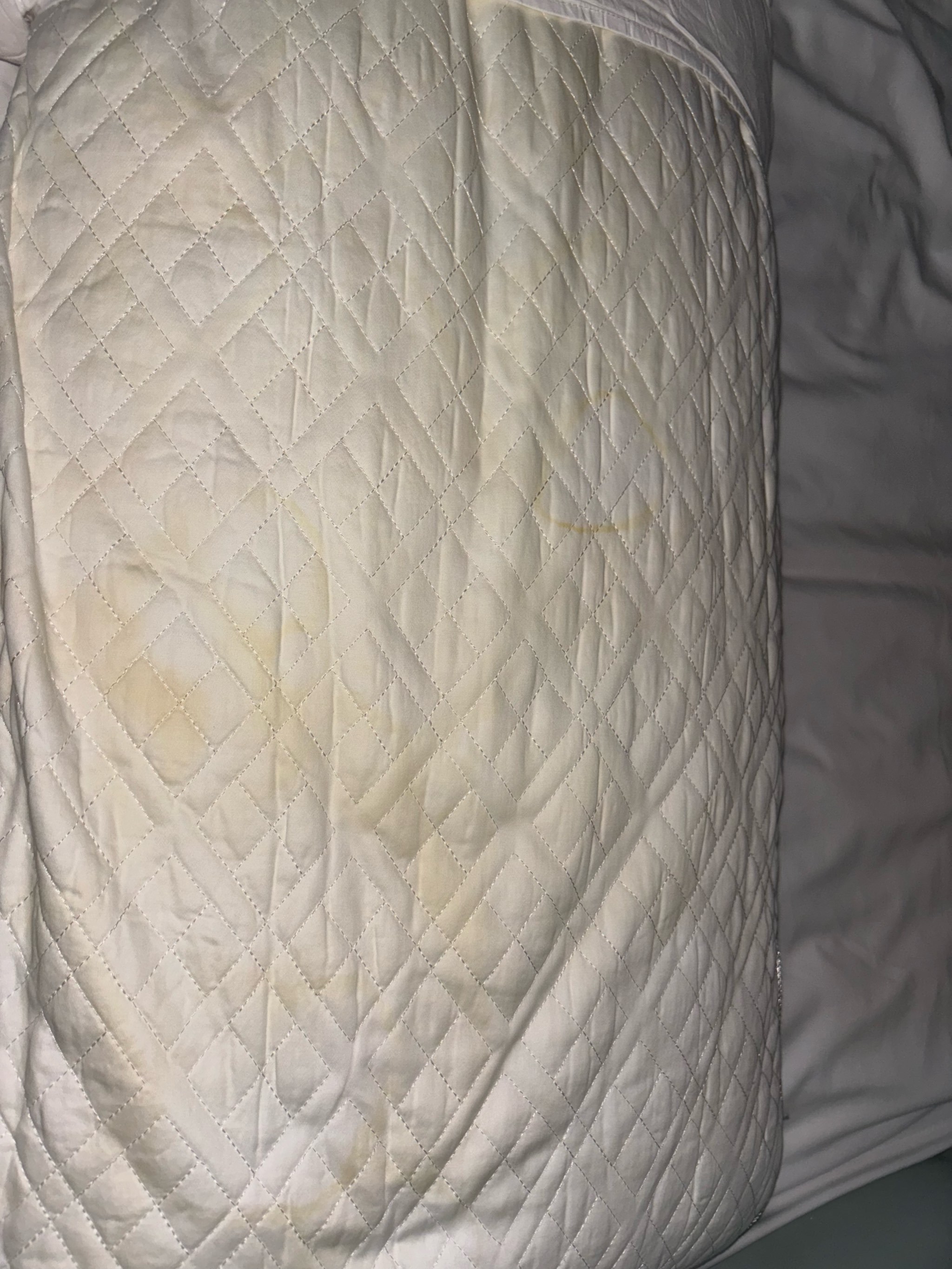 过期饵料没丝(过期的饵料处理方法) 过期饵料没丝(过期的饵料处理方法)