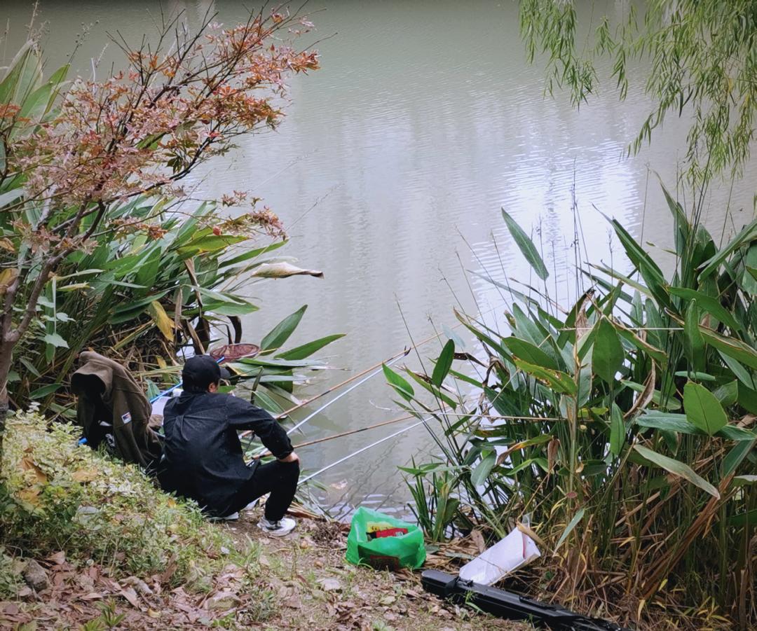 夏季湖泊水库钓鱼技巧(水库湖泊钓鱼用什么竿最好)