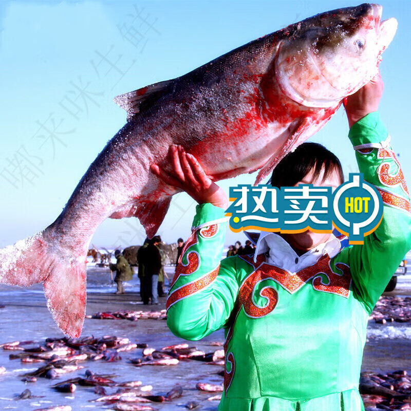 河南胖冬33渔具(湖北钓鱼王渔具有限公司)