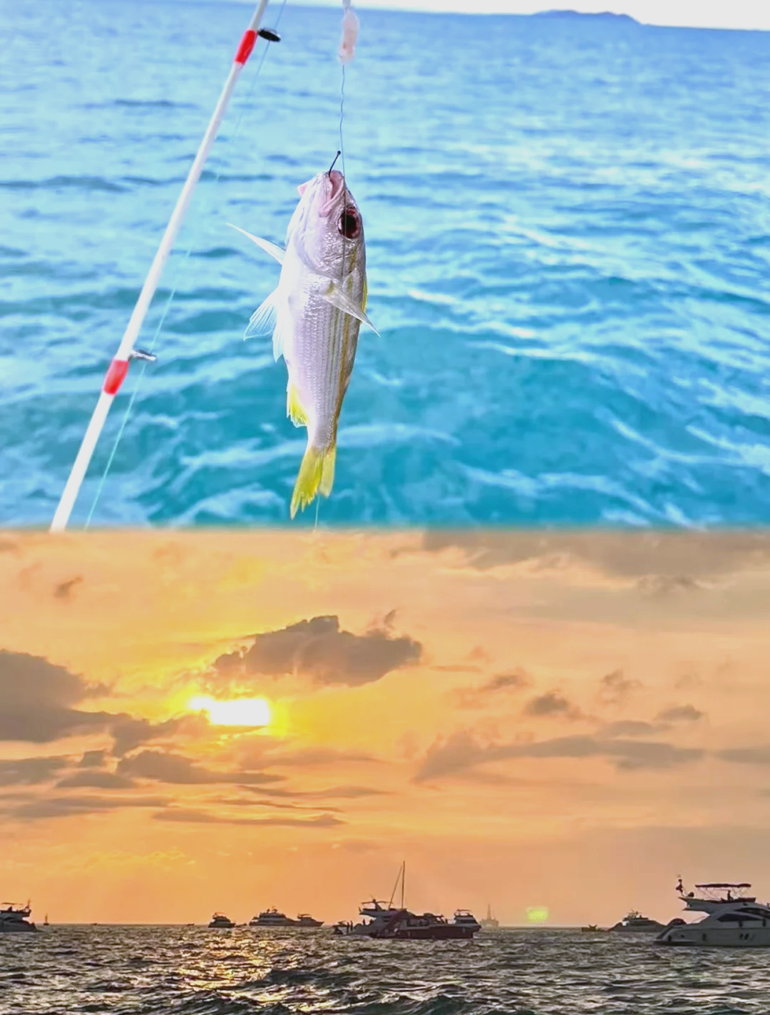 冬天怎样进行海钓(冬天海钓深水还是浅水)