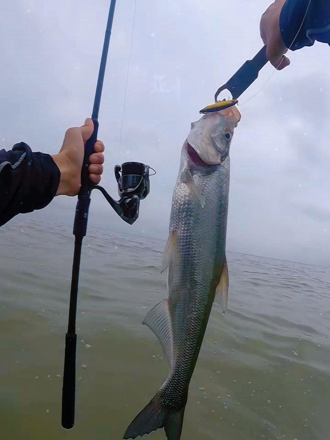 邕江用路亚(邕江路亚钓鱼最新消息今天新闻) 邕江用路亚(邕江路亚钓鱼最新消息今天新闻)