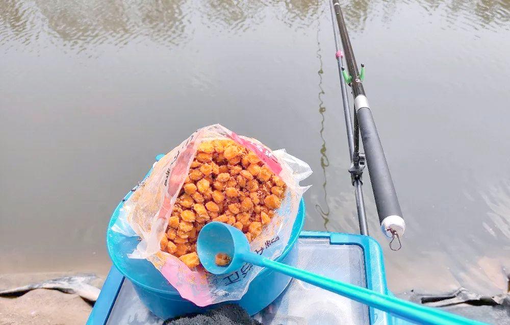 发酵饵料的制作(怎样制作发酵饵如何长期保存)