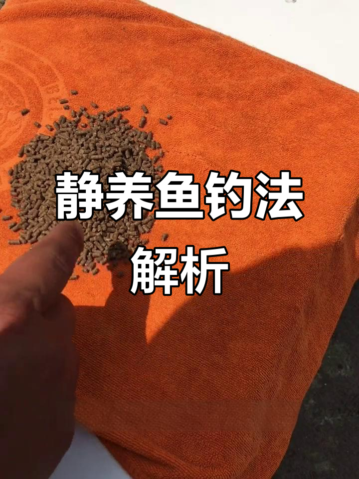 养鱼饵料怎样调制(养鱼饵料怎样调制视频)