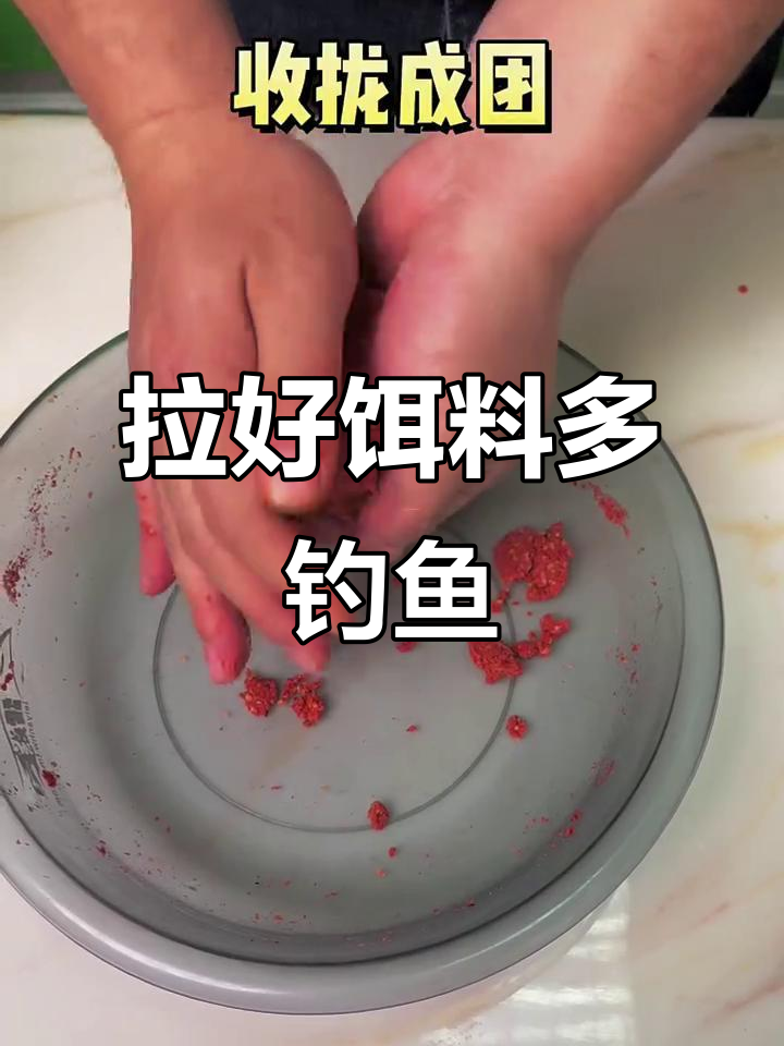 池塘钓鱼拉饵技巧(池塘如何搭进饵料台)