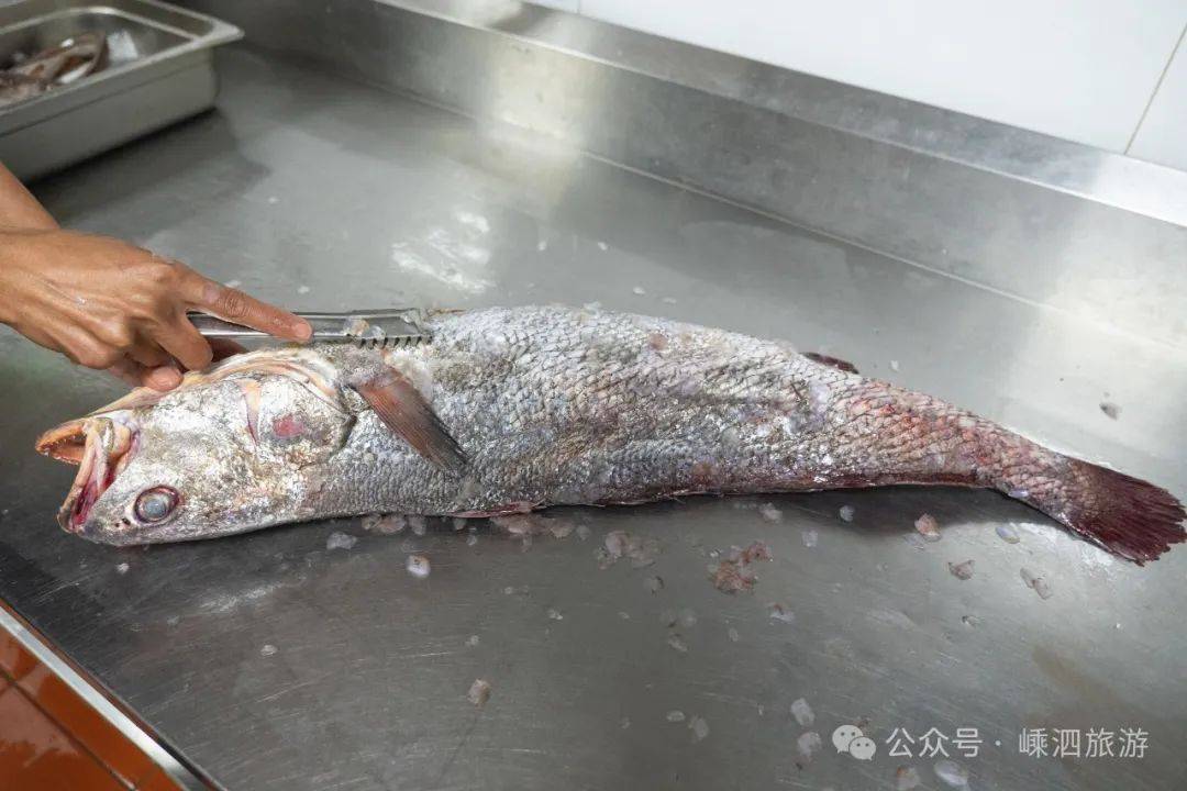 秋冬如何海钓米鱼(海钓米鱼用什么饵最佳) 秋冬如何海钓米鱼(海钓米鱼用什么饵最佳)