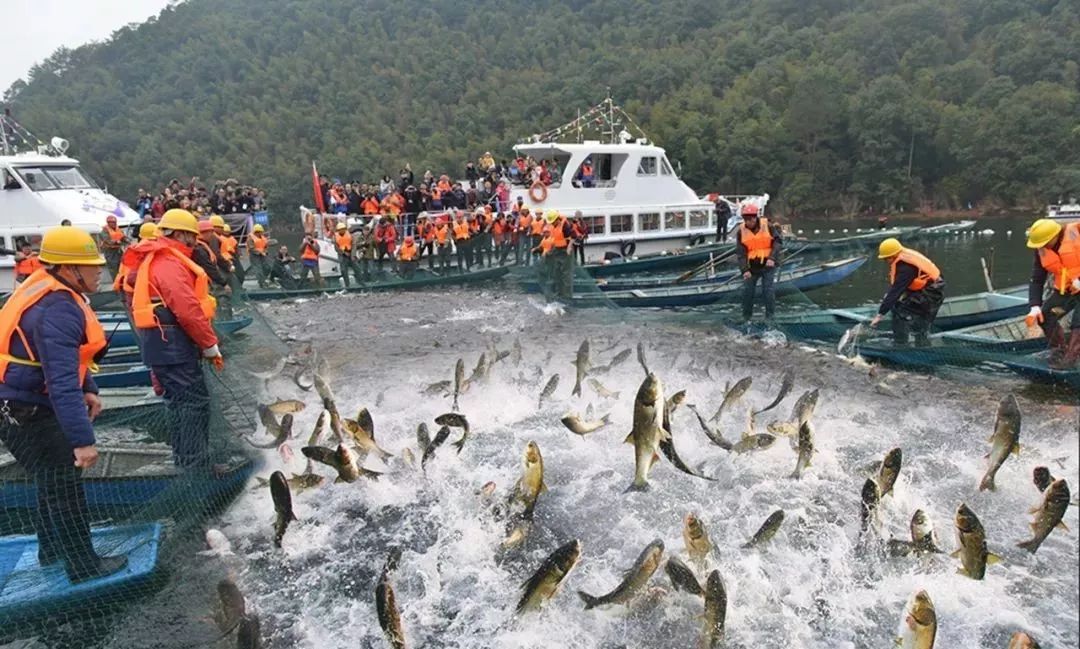 路亚杯节(路亚线杯结绑法视频教程)