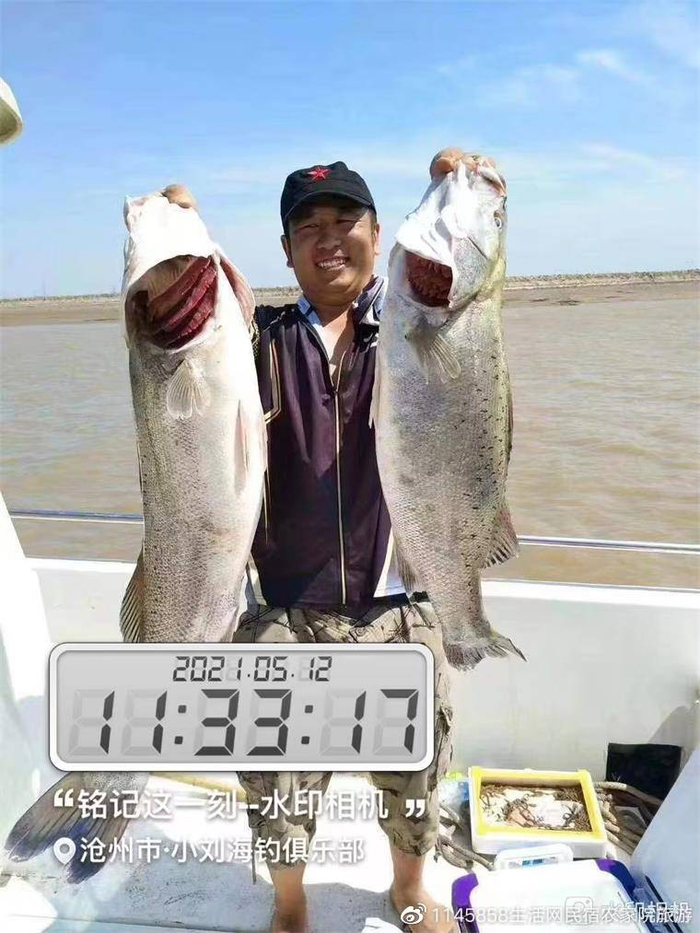 黄骅海钓微信群(微信怎么找各种群)