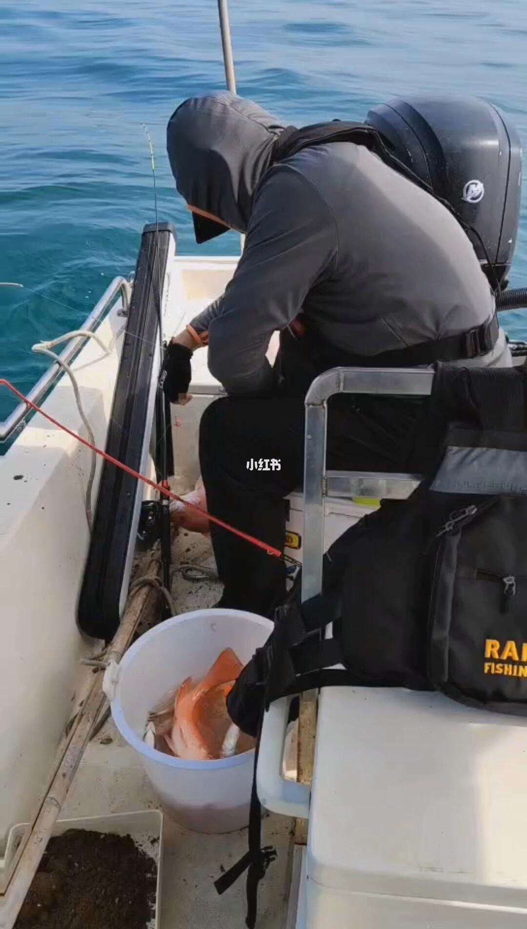 潍坊租船出海钓鱼(潍坊出海捕鱼一日游)