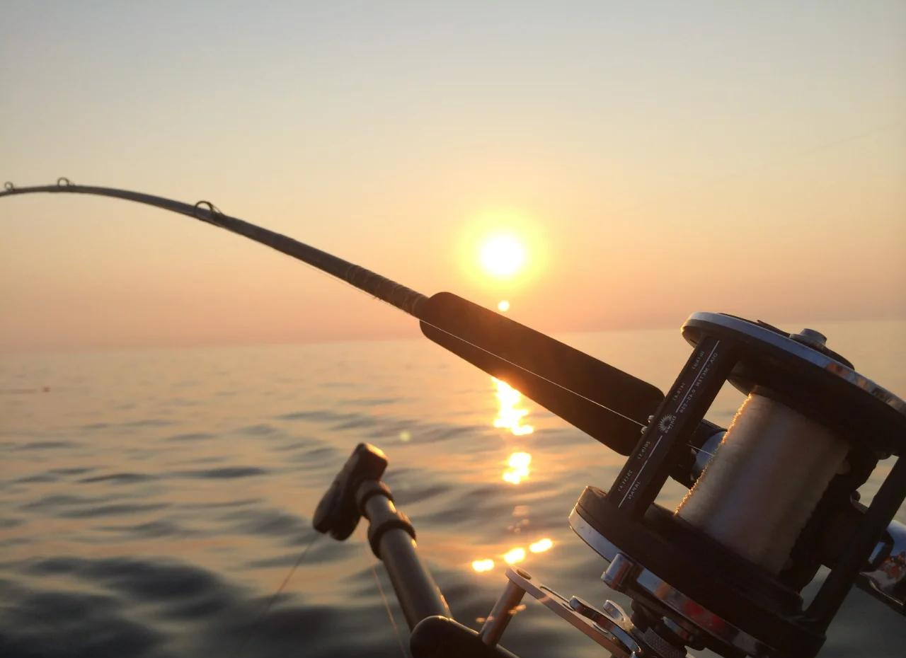 码头海钓技巧(码头海钓技巧图解)