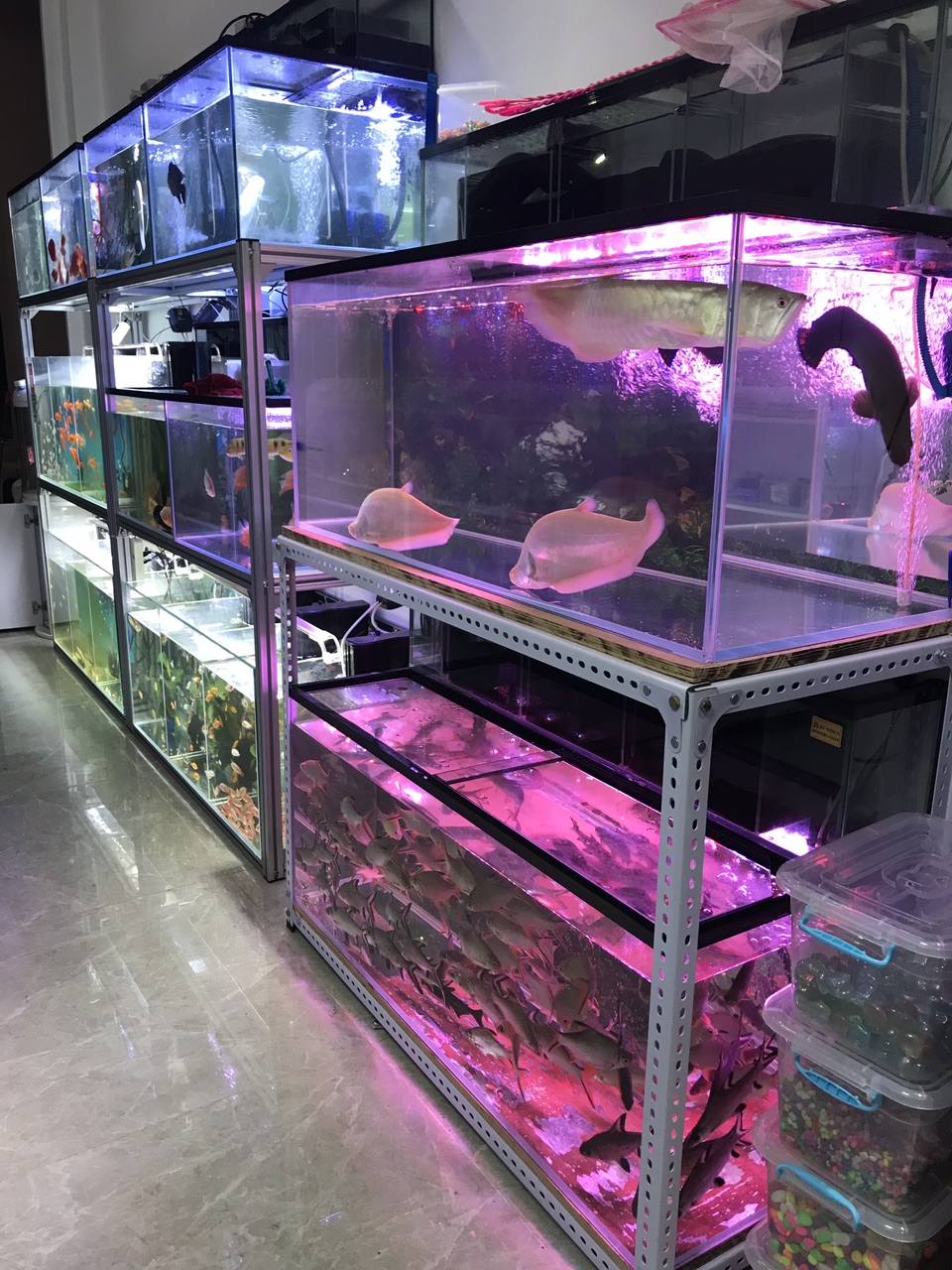 廊坊四海渔具(四海渔具商店电话号码) 廊坊四海渔具(四海渔具商店电话号码)