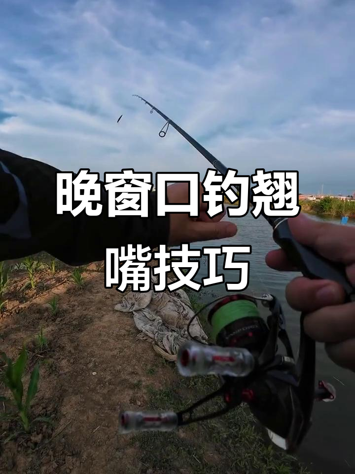 晚上钓翘嘴的技巧(晚上钓翘嘴用什么饵料) 晚上钓翘嘴的技巧(晚上钓翘嘴用什么饵料)