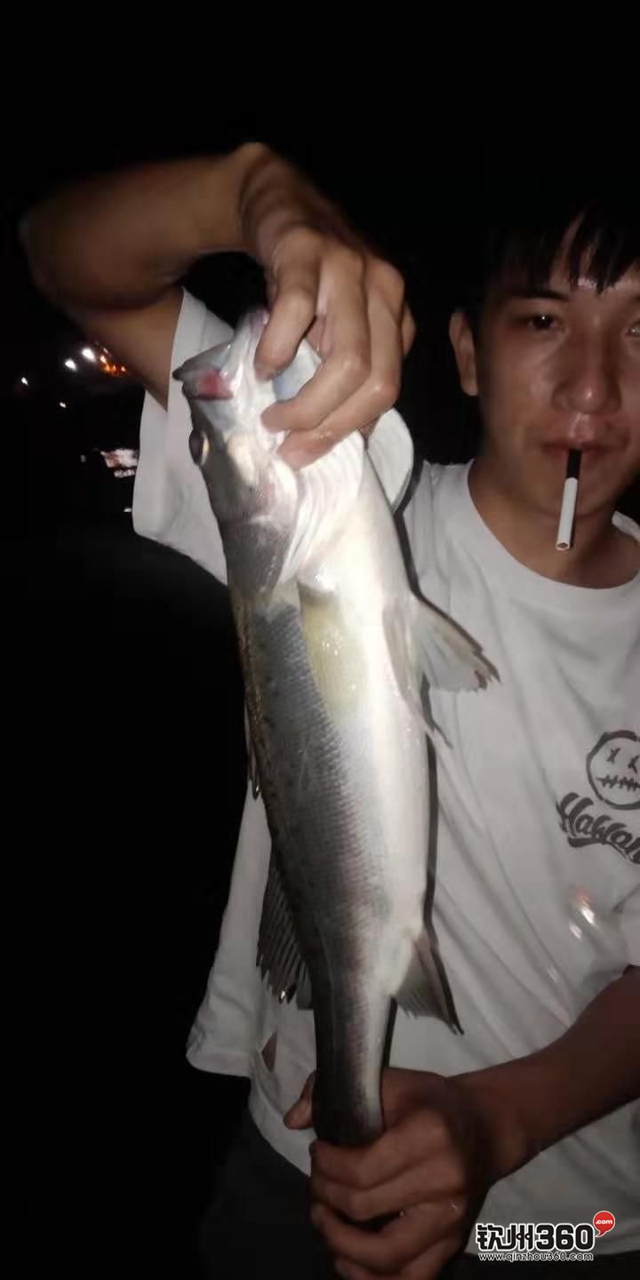 钦州港蚝排海钓(海钓路亚竿怎么选择)