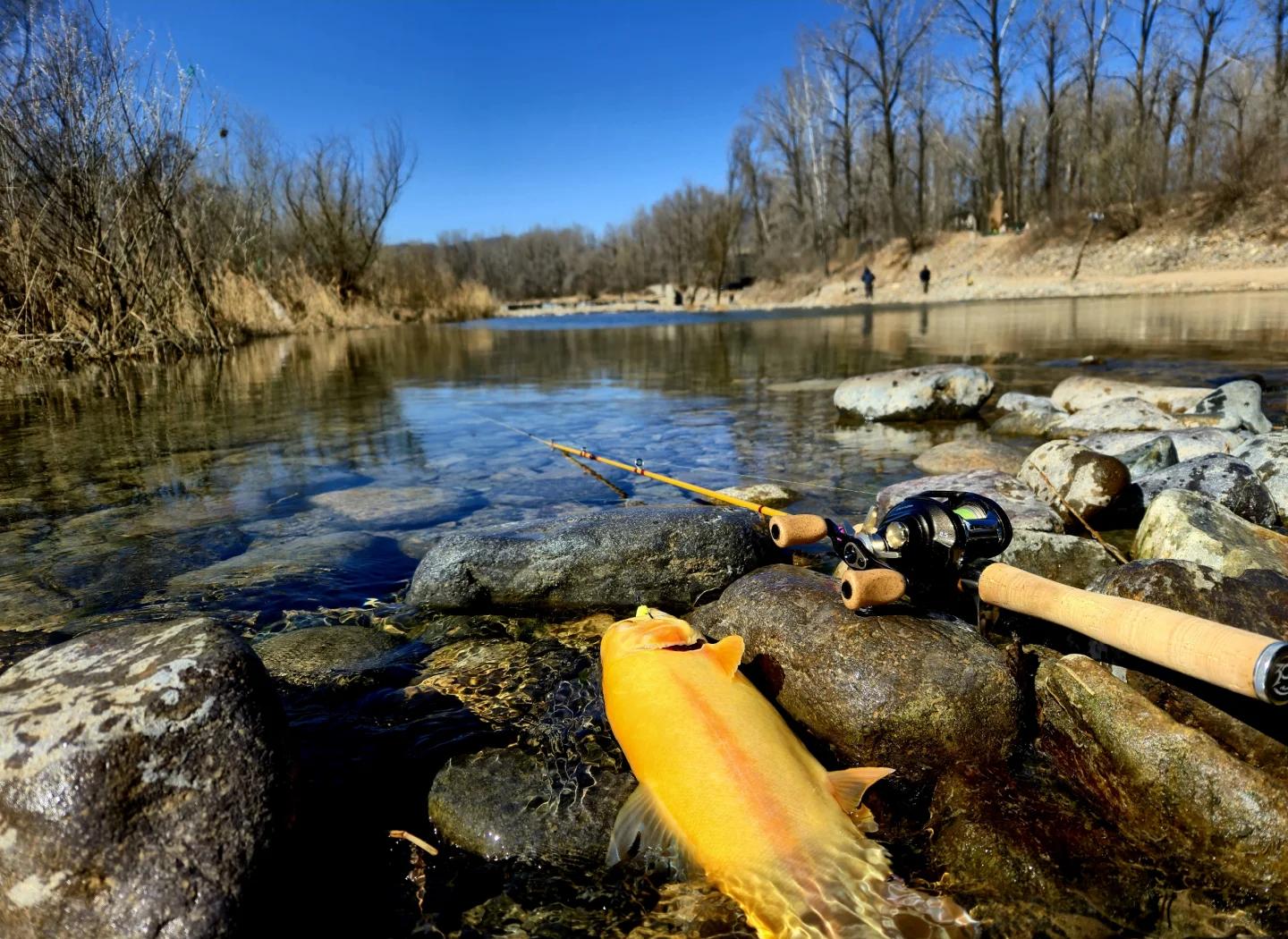 慈溪路亚地点(慈溪堂得玩路亚)