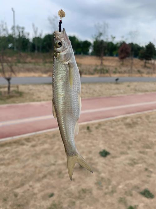 慈溪路亚地点(慈溪堂得玩路亚)