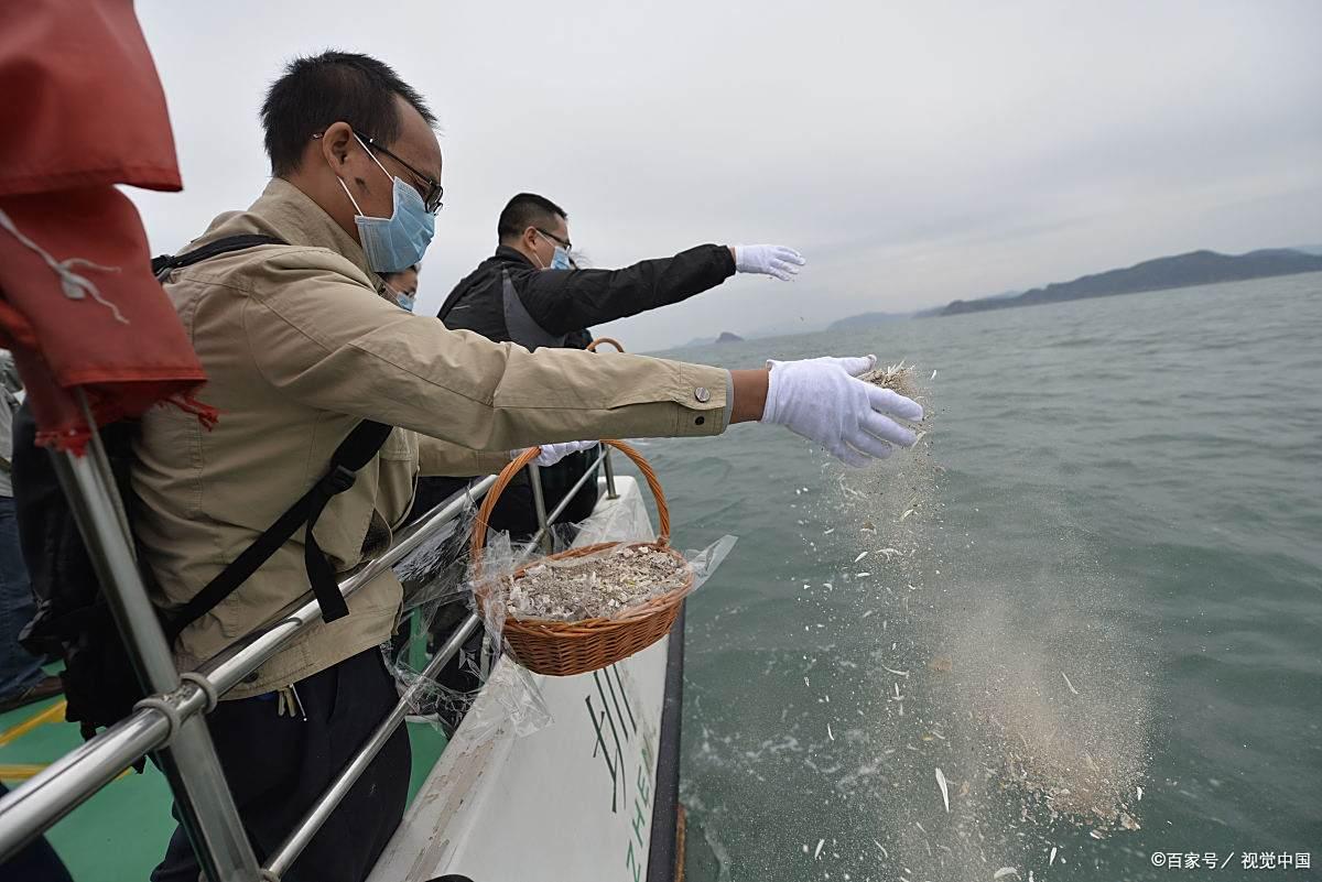 海钓大平台(2021海钓app哪个比较全面)