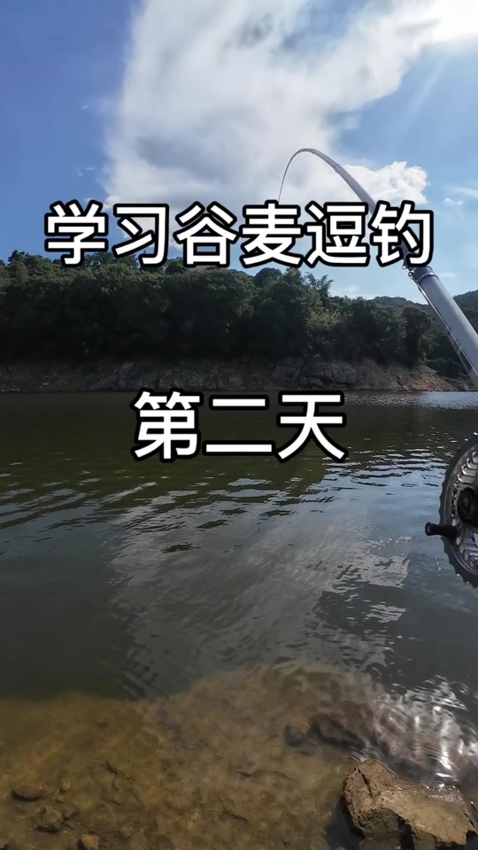 谷麦钓法逗钓技巧(谷麦钓法逗钓技巧图解) 谷麦钓法逗钓技巧(谷麦钓法逗钓技巧图解)