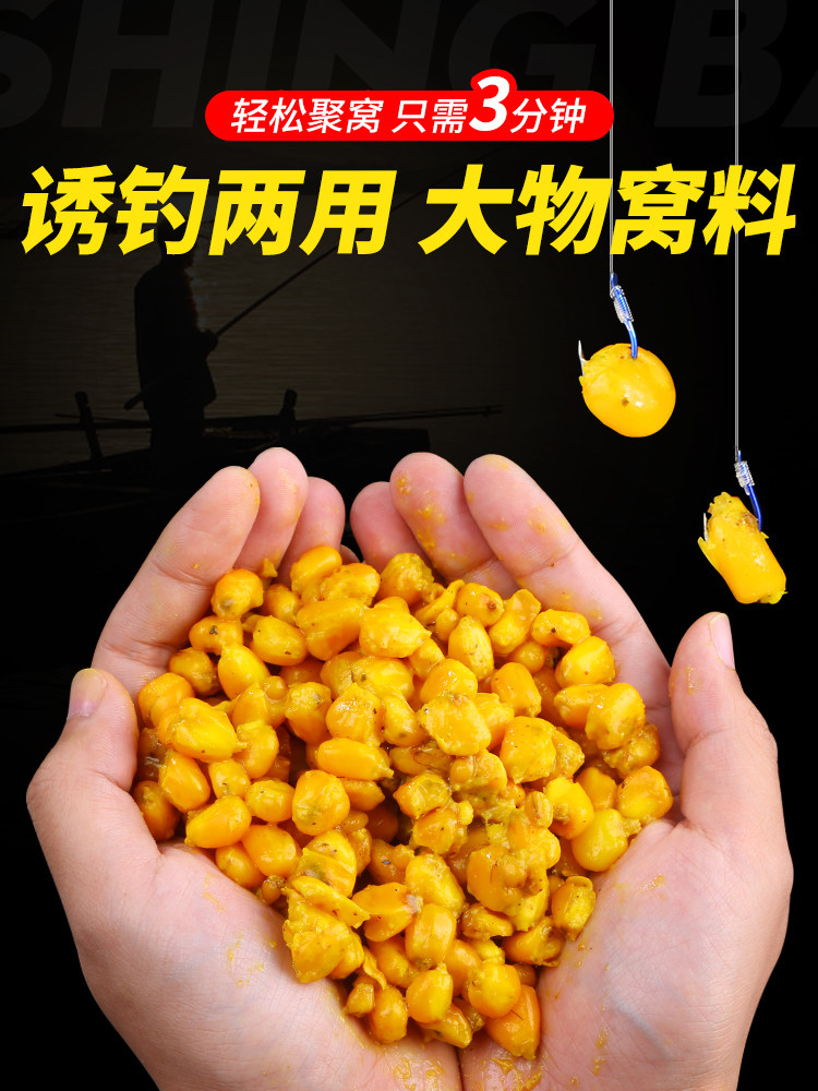 小麦饵料(小麦饵料钓鲫鱼怎么样)