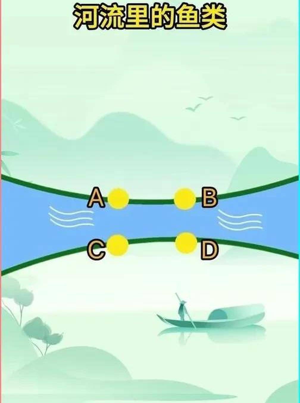 水库钓鲤鱼选位技巧(水库鲤鱼用什么钓效果好)