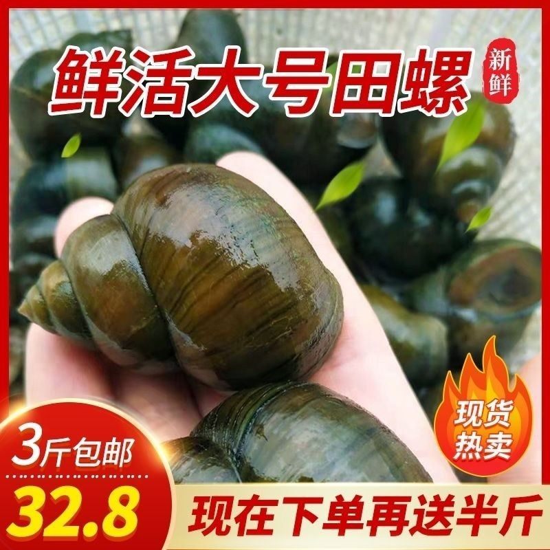 螺丝可以钓鱼的技巧(螺丝可以钓鱼的技巧和方法)