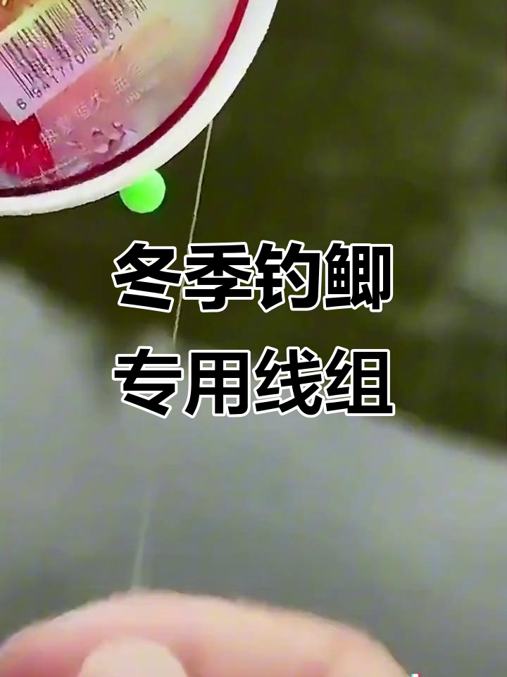 野钓鲫鱼线组技巧(野钓鲫鱼鱼线的选择) 野钓鲫鱼线组技巧(野钓鲫鱼鱼线的选择)