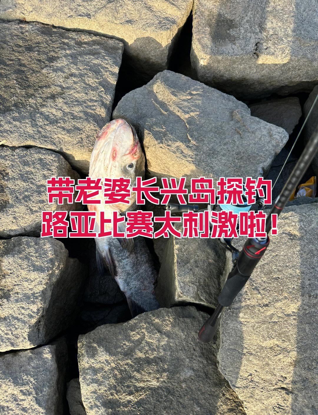 长兴玩路亚(长兴岛路亚海鲈)