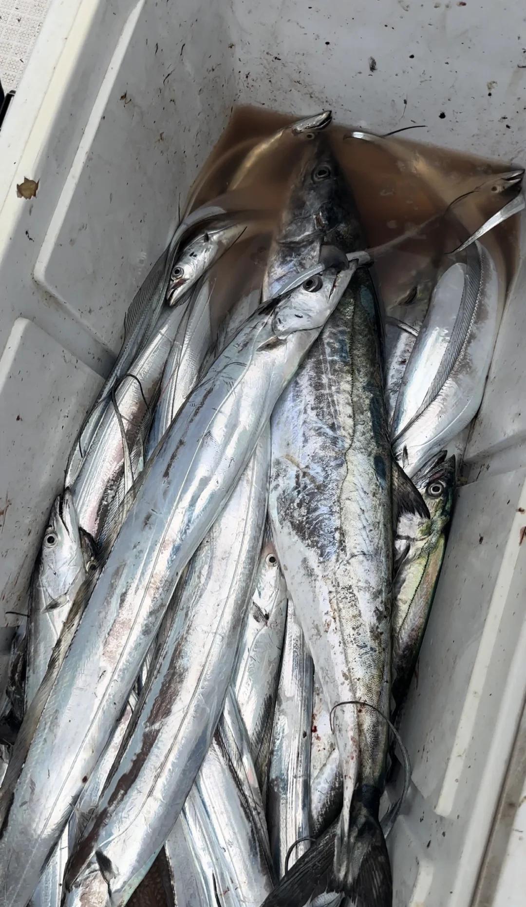 日照岚山海钓台(日照岚山鱼馆电话)