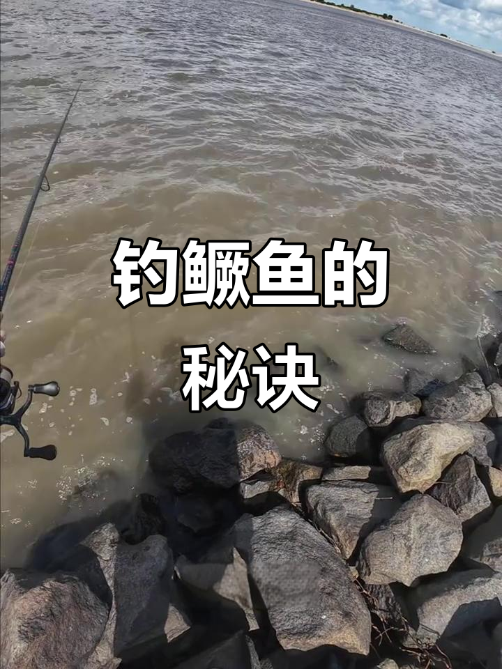 野钓鳜鱼的技巧(钓鳜鱼的方法,技巧) 野钓鳜鱼的技巧(钓鳜鱼的方法,技巧)