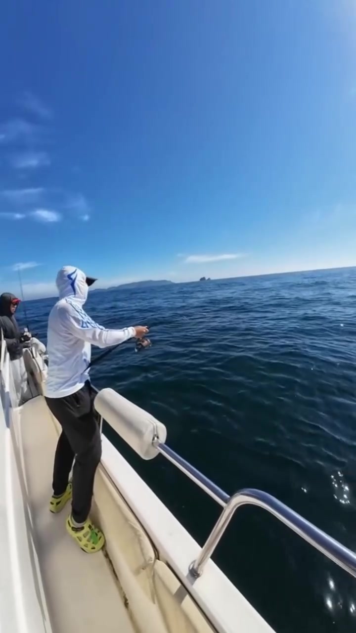 大纲油田海钓(大港油田钓鱼有好地方吗)