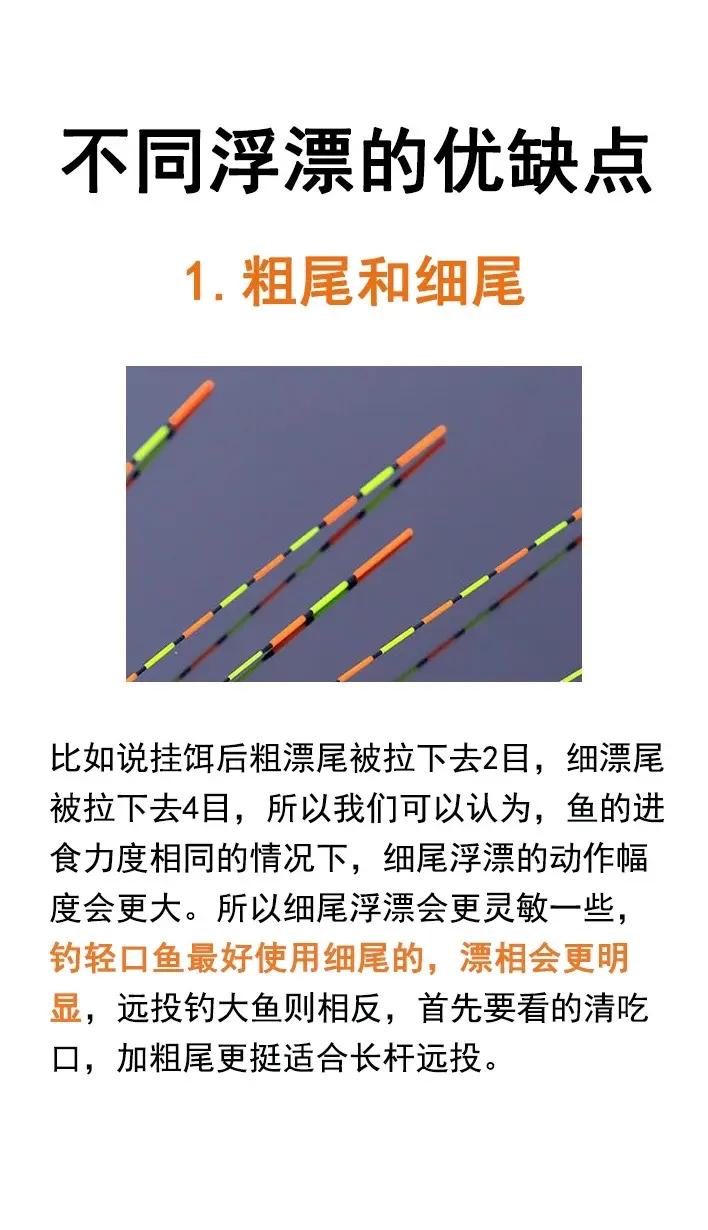 钓鱼装备选择技巧(钓鱼装备选择技巧视频) 钓鱼装备选择技巧(钓鱼装备选择技巧视频)