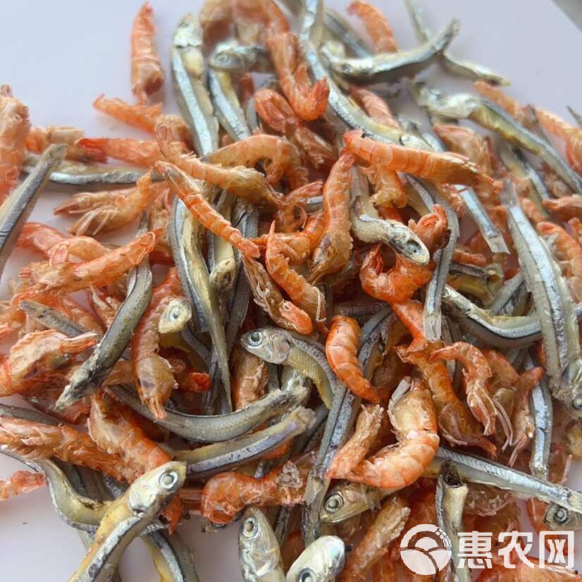 饵料虾和小鱼对比(虾饵可以和商品饵一起开吗)