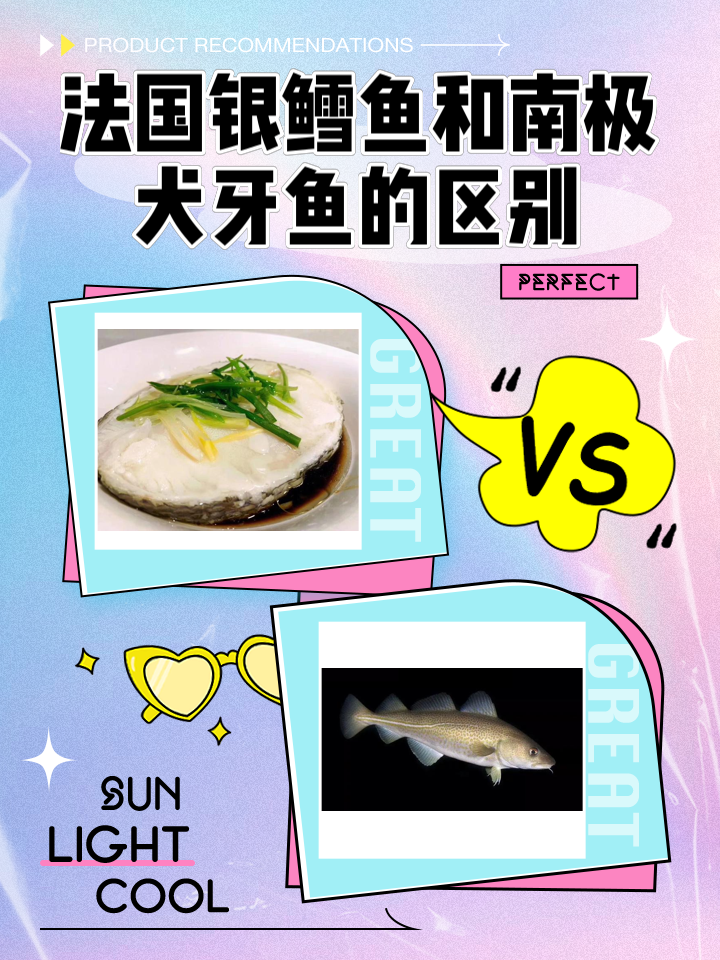 海钓鳕鱼攻略(钓鳕鱼的最佳饵料)