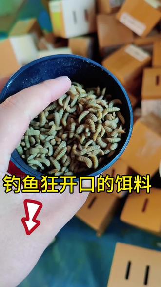 爆炸钩饵料黑鱼(爆炸钩饵料是干一点还是湿一点?)