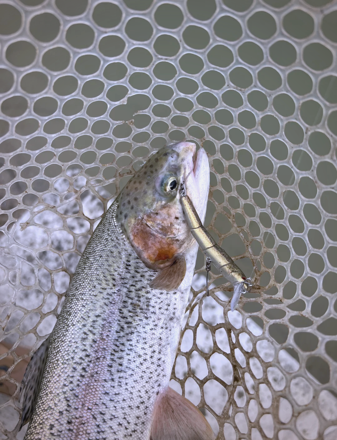 汾河冬季路亚(汾河二库 路亚)