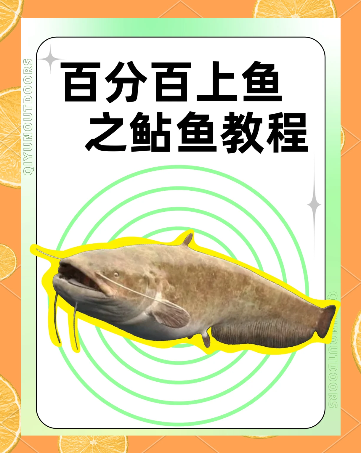 野坑钓大鱼的技巧(野坑钓大鱼的技巧和方法)