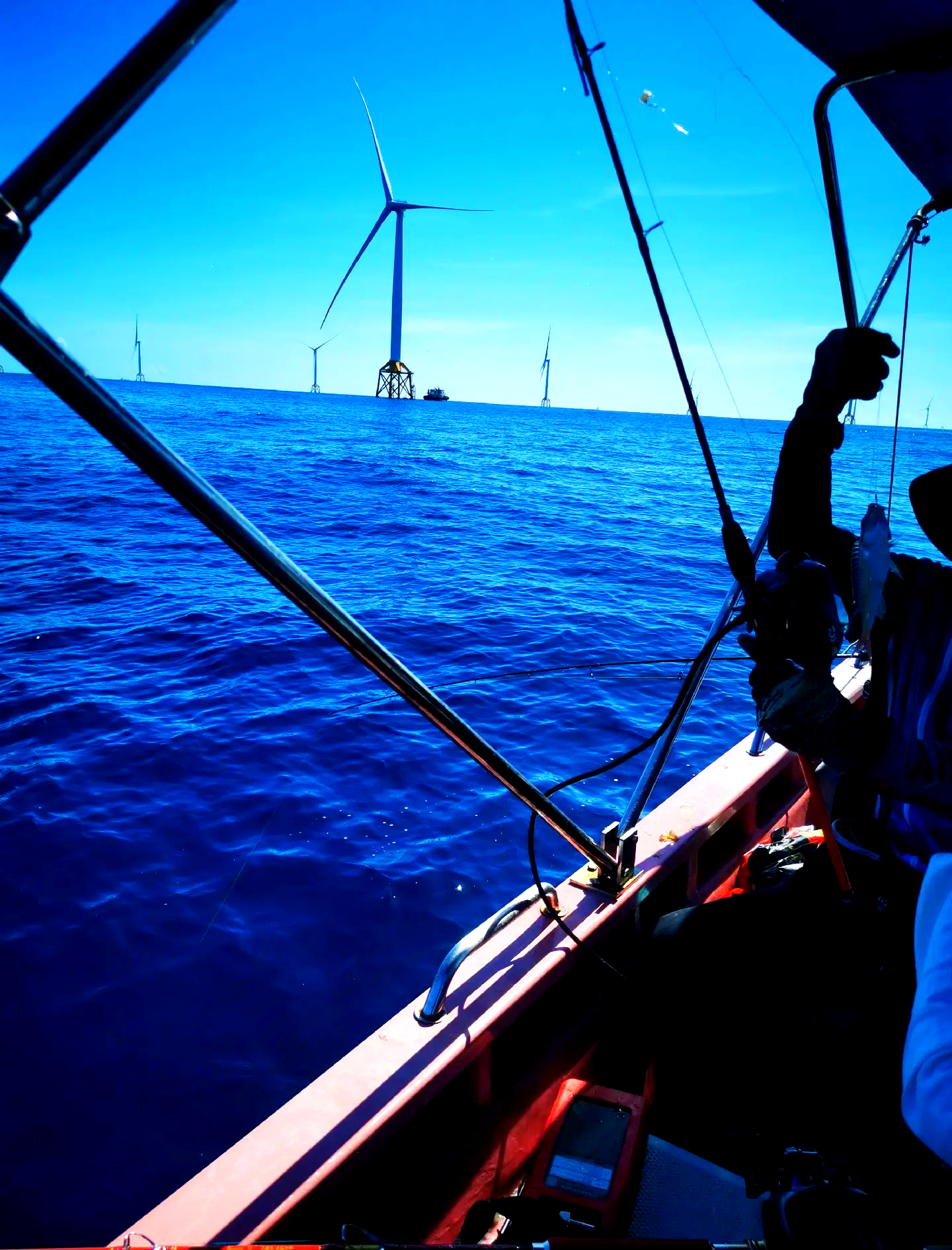 惠州那里有出海钓鱼的(惠州海边钓鱼的地方有哪些免费)