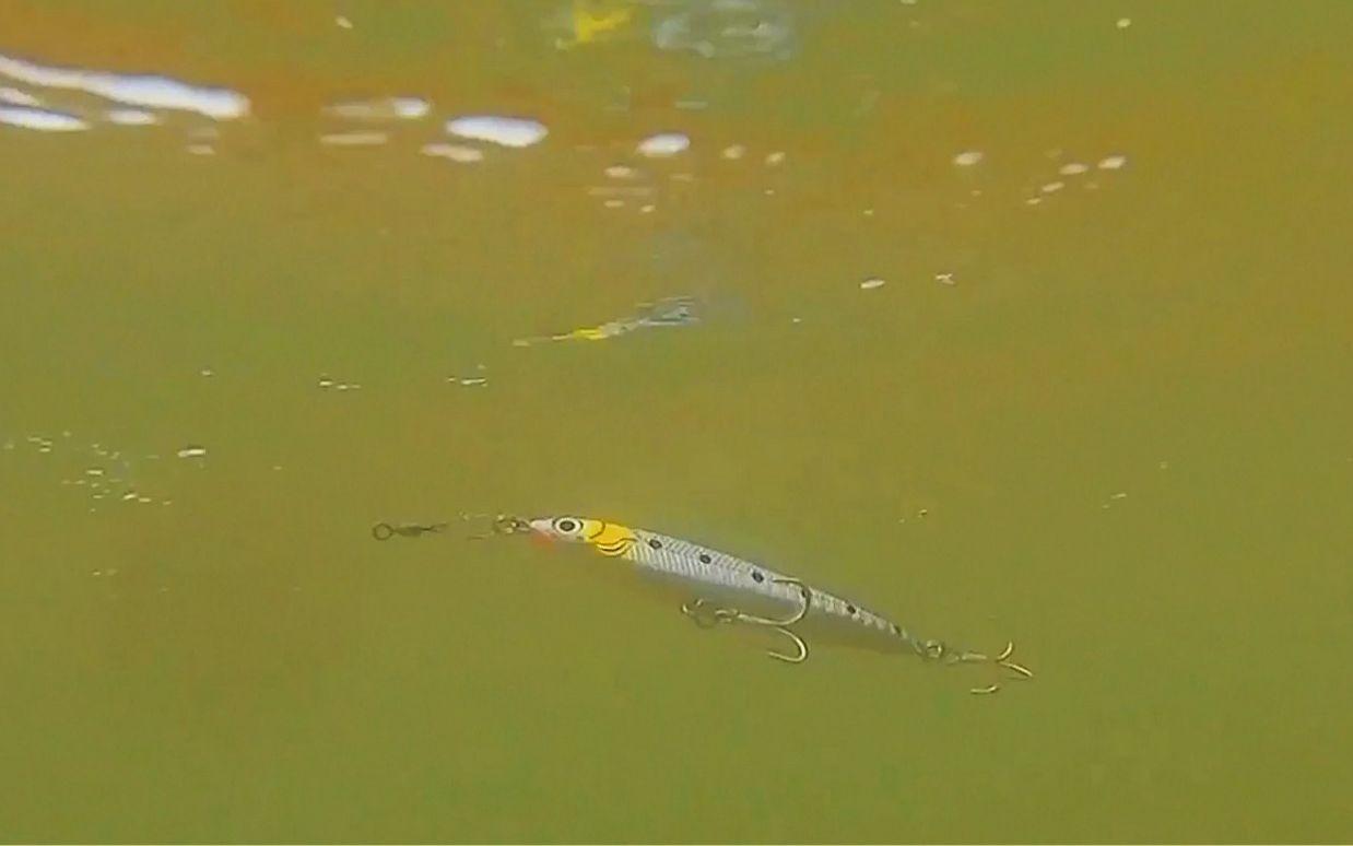 鱼饵料在水里(鱼饵料在水里泡多久)