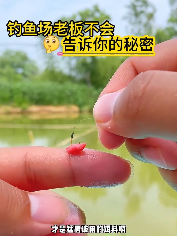 鱼饵料在水里(鱼饵料在水里泡多久)