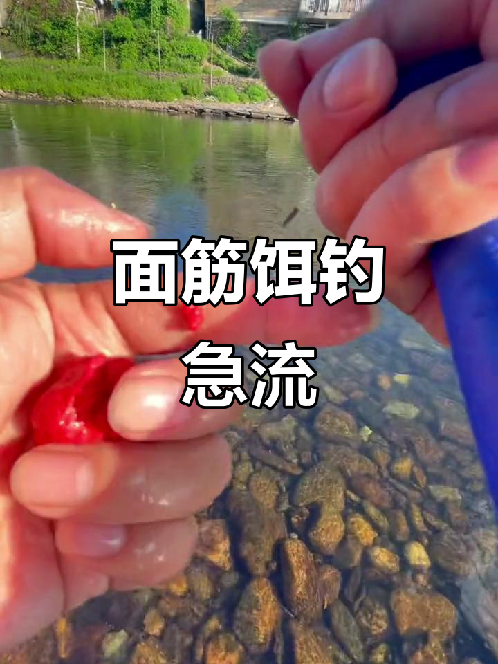 大河急流钓鱼技巧(大河里水流急,怎么野钓) 大河急流钓鱼技巧(大河里水流急,怎么野钓)