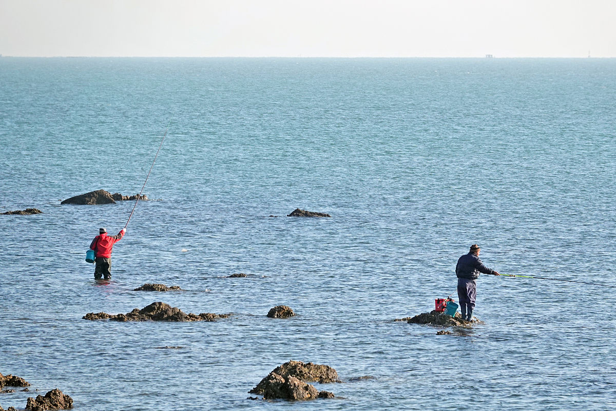 湛江海钓团(湛江哪里钓海鱼)