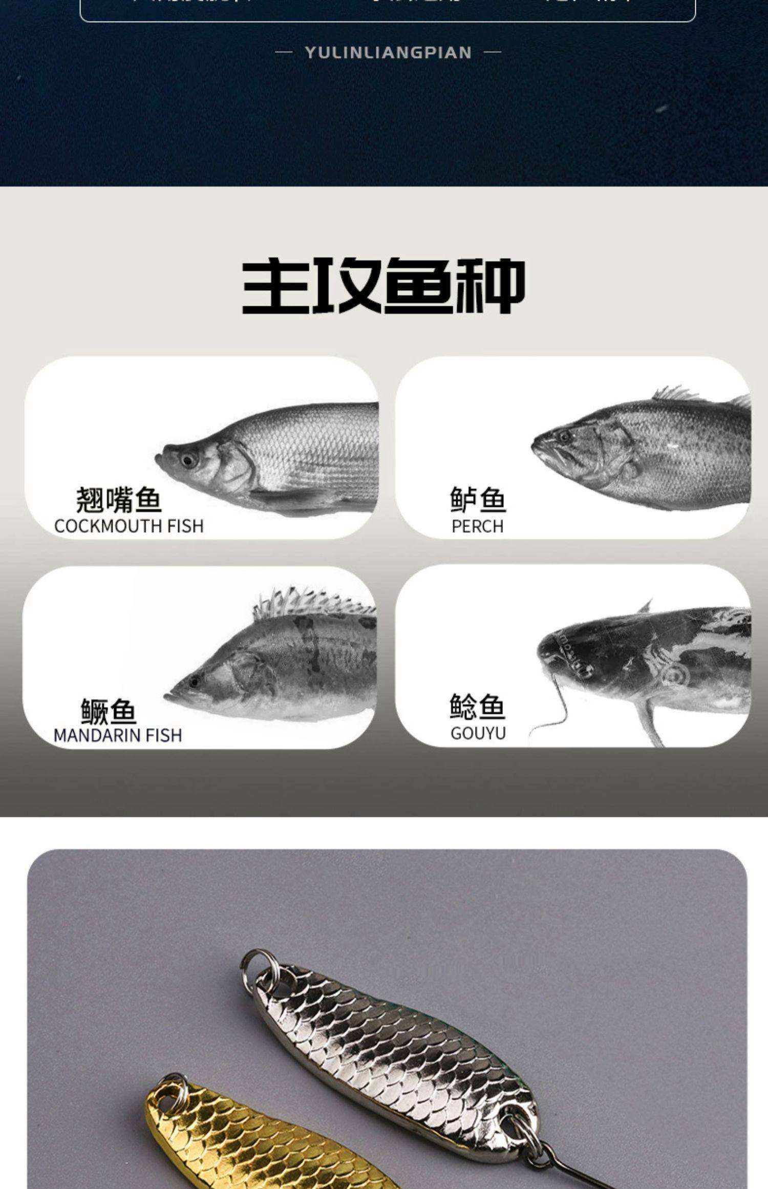 路亚饵型号(路亚型号怎么选)