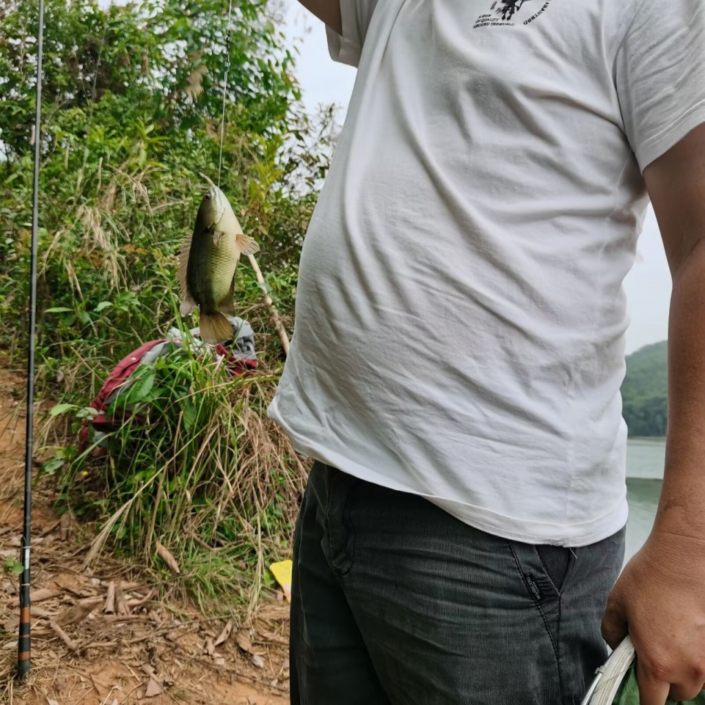 怒江钓江鱼技巧(海南冬季钓罗非鱼技巧)