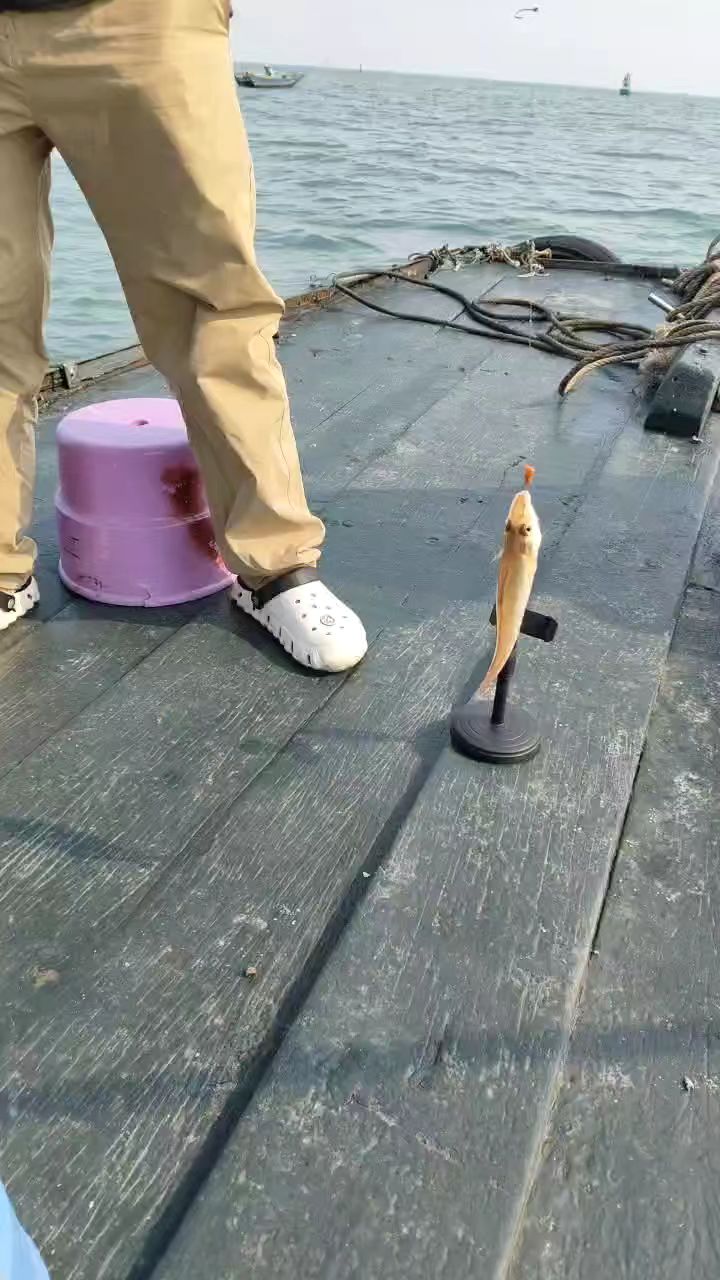 广州南沙海钓(广州南沙海钓基地)