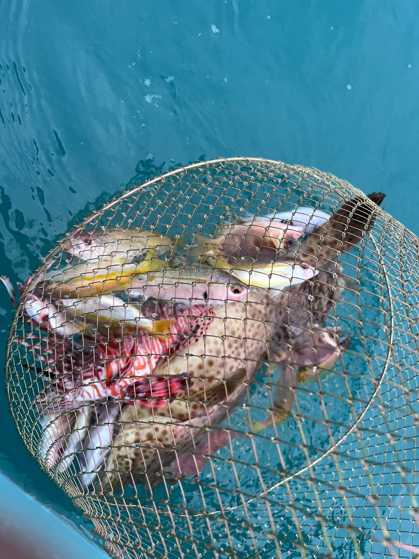 三亚渔具(三亚吉阳区渔具店)