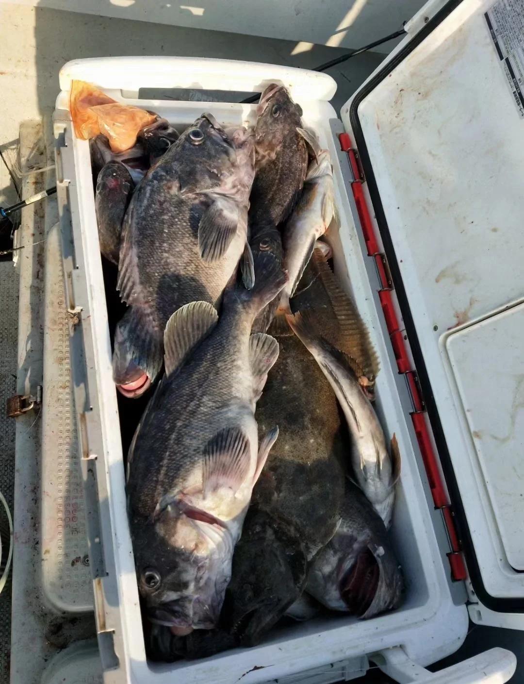 虎门新庄园海钓场收费(虎门新庄园海钓场收费多少)