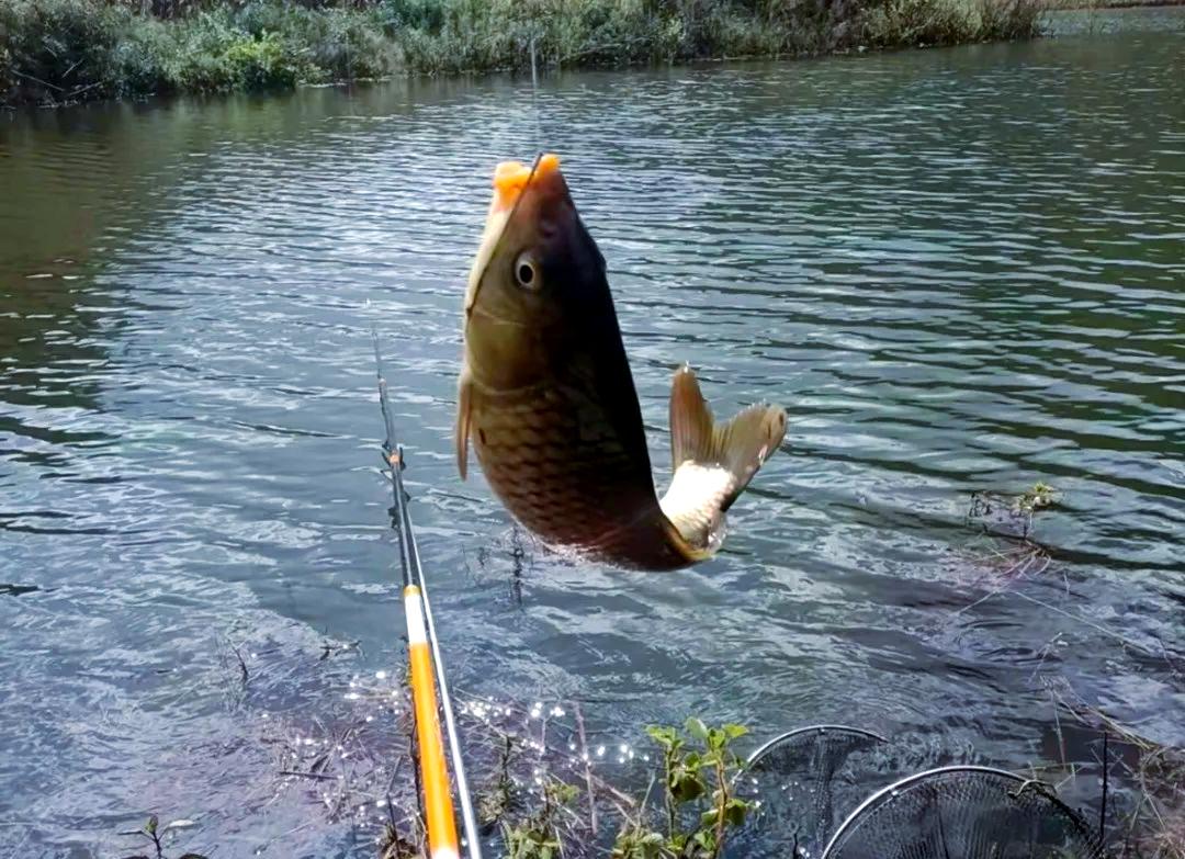大风天钓鱼绝密技巧(大风天钓鱼绝密技巧是什么)