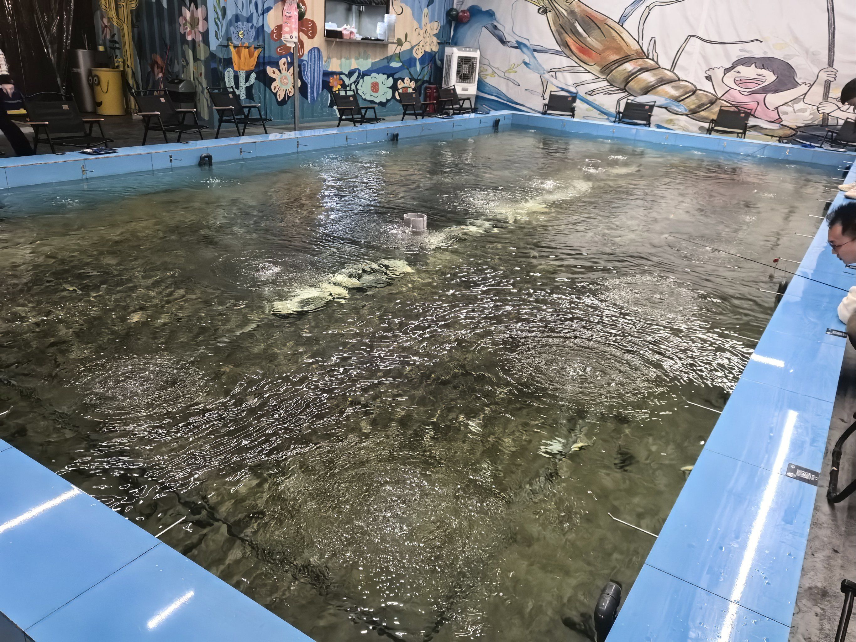 深圳宝安海钓场(深圳宝安海边岸钓)