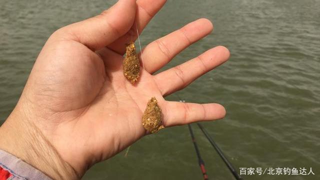 包食饵料搭配(包食钓法的利与弊)