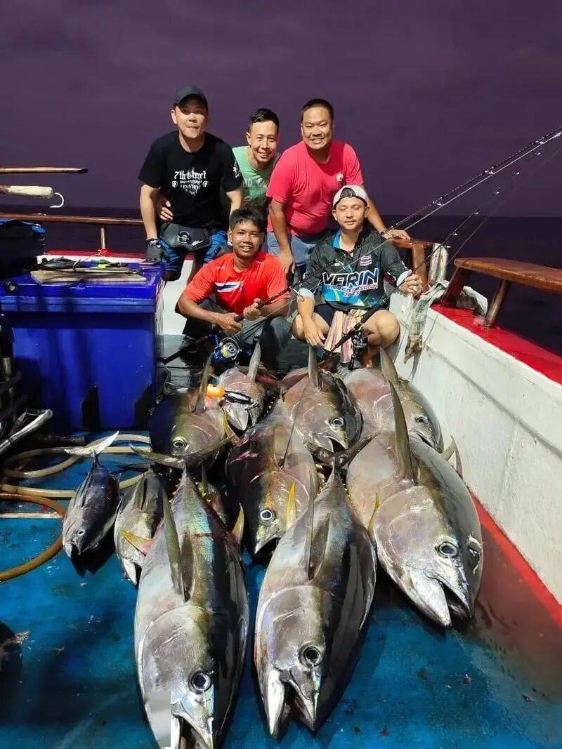 乍浦周边能海钓吗(乍浦周边能海钓吗今天)