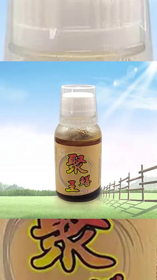 装黄鳝用什么饵料最好(装黄鳝用什么饵料最好呢)