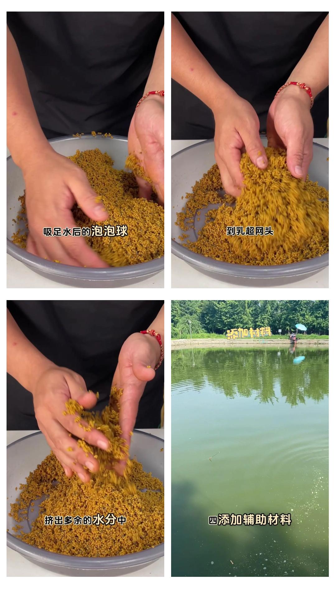 饵料水太多(饵料出水怎么回事)